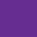 TOP ESSENCE - M - ROXO